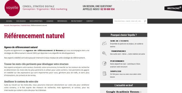 page référencement naturel du site de l'agence voyelle